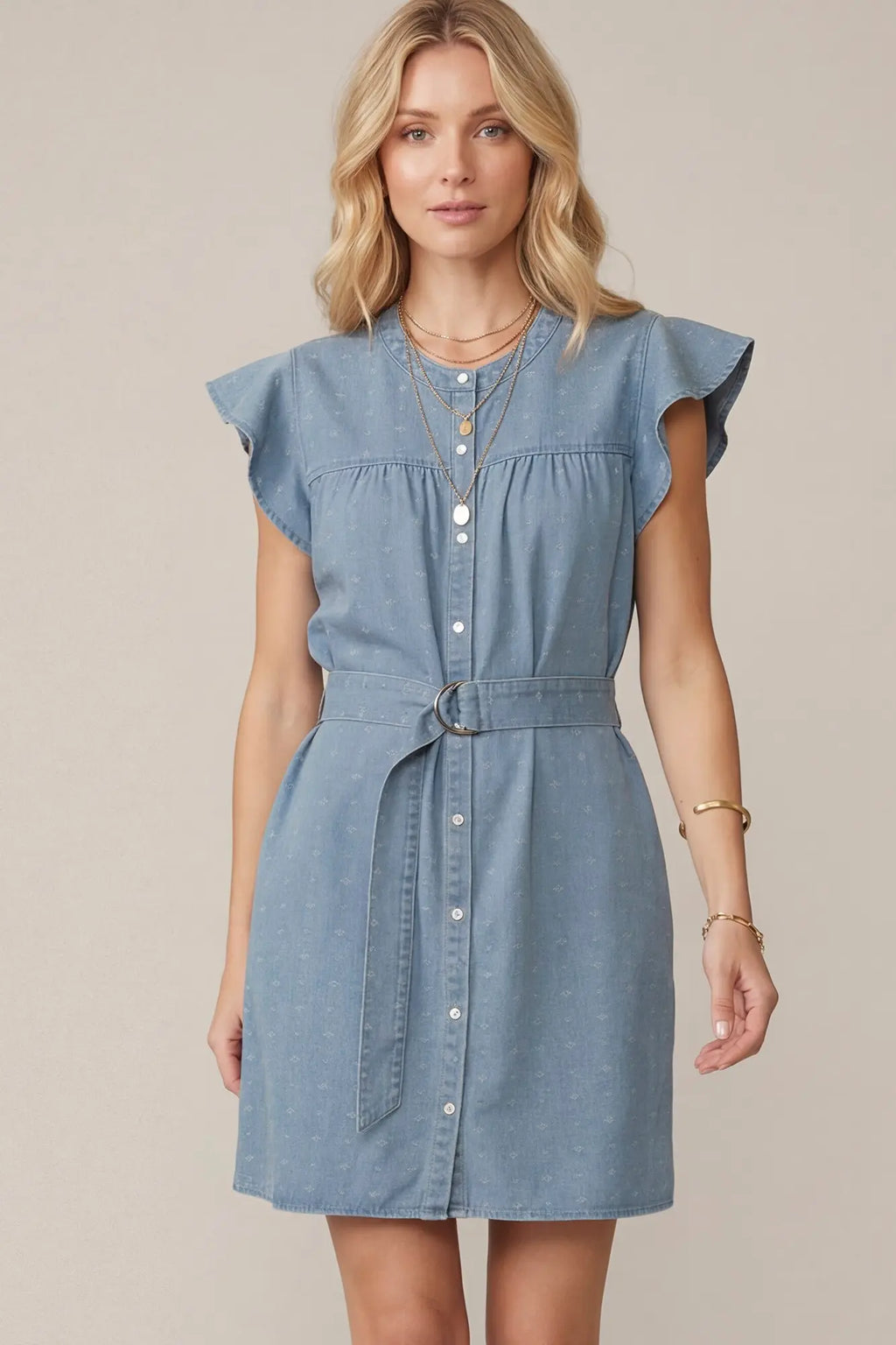 She + Sky Denim Button down Dress